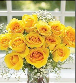 五朵黄玫瑰寓意 五朵黄玫瑰寓意--第1张