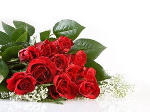 情人节9朵玫瑰花的意思 情人节9朵玫瑰花的意义--第1张