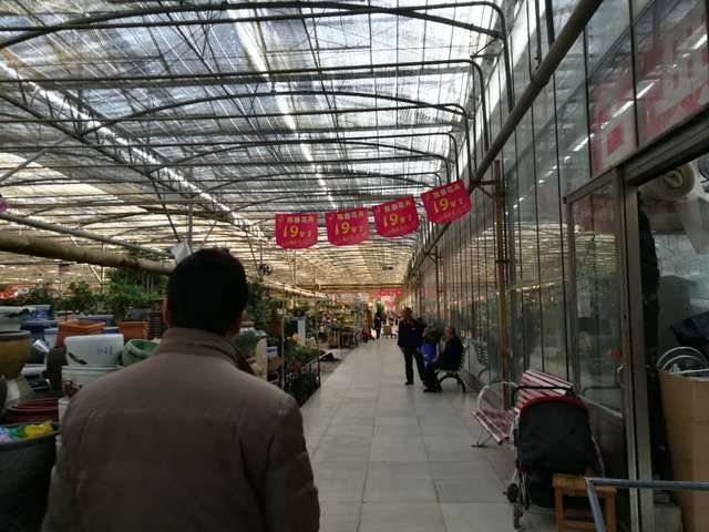 郑州花市场在哪里 郑州花市场在哪里--第1张