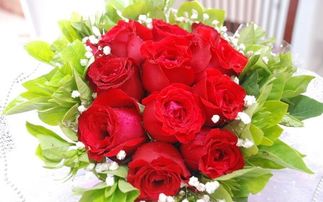 情人节送12朵玫瑰花代表什么 情人节送12朵玫瑰花代表什么--第1张