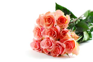 5朵玫瑰花的寓意和花语 五朵玫瑰花的寓意和花语--第1张