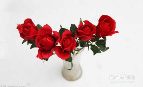 十三支玫瑰花的含义 十三支玫瑰花的含义--第1张