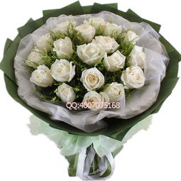 白玫瑰的花语和寓意6朵花 白玫瑰的花语和寓意6朵花--第1张