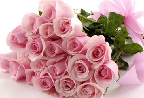 十八朵玫瑰花的花语是什么 十八朵玫瑰花的花语--第1张