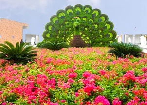 西丽深港花卉中心 西丽深港花卉中心，花卉爱好者的天堂--第1张