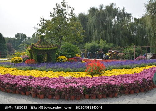 中国花卉园艺会是什么组织 中国花卉园艺会，引领花卉园艺行业的卓越组织--第1张
