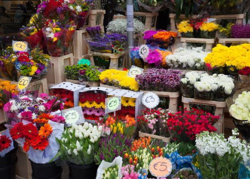 阿克苏花店订花 阿克苏花店订花，一站式鲜花服务，让您的生活充满色彩--第1张