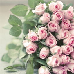 7朵红玫瑰花代表什么意思 7朵红玫瑰花的含义，爱的象征与情感的表达--第1张