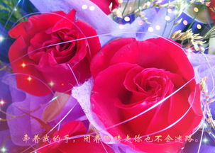 紫色玫瑰图片唯美 紫色玫瑰图片，唯美之花，浪漫之魂--第1张
