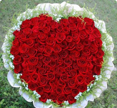 15朵玫瑰寓意 15朵玫瑰寓意，浪漫、承诺、永恒的爱情--第1张