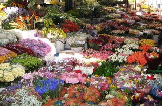 烟台鲜花市场 烟台鲜花市场，绽放的美丽，繁荣的商机--第1张