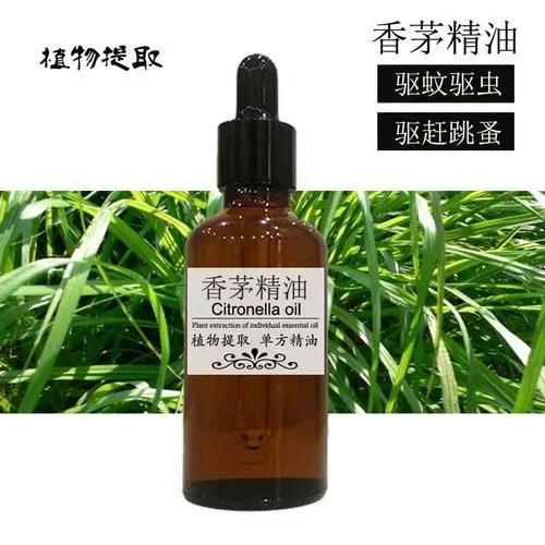 驱蚊香草，天然防护的秘密武器