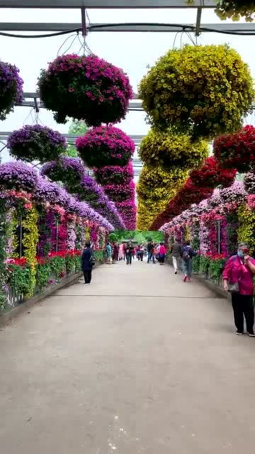 上海花卉市场，花卉交易的天堂