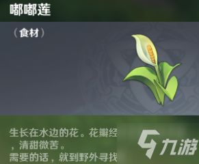 金鱼草采集地点