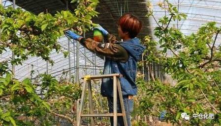 现在种植什么最赚钱？，种植热门行业赚钱趋势，未来农业投资新方向