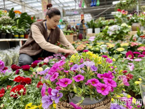 批发花卉，市场趋势与商机