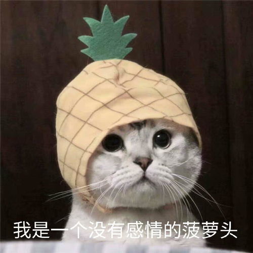 献花表情包，表达情感与尊重的美丽瞬间