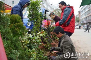 湖南苗木市场概述