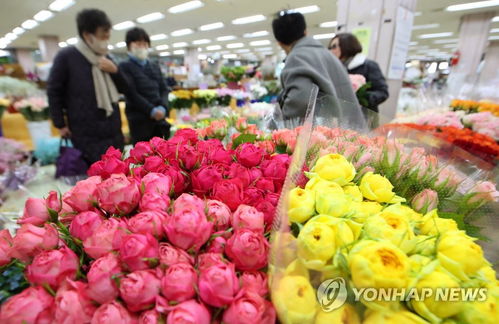 韩国鲜花网站介绍