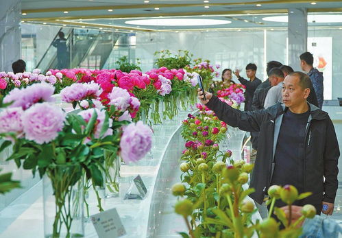 云南昆明鲜花网，引领鲜花交易新潮流