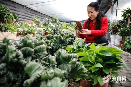 山东东营鲜花店，绽放美丽，传递爱意