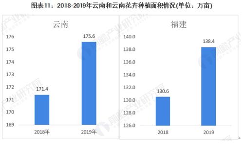 鲜花行业市场前景分析