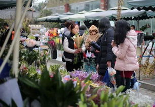 成都花卉市场批发市场的位置