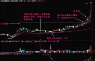 股票仙人指路K线图，揭秘股市的神秘语言